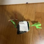 IMG_2311-2.jpeg