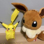 IMG_2447-1.jpeg