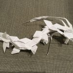 IMG_2564.jpeg
