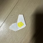 IMG_3434.jpeg