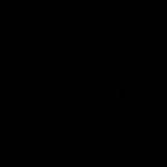 IMG_3653.jpeg