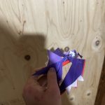 IMG_3750-1.jpeg