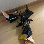 IMG_6363-1.jpeg