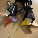 IMG_6365-2.jpeg