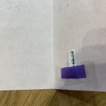 IMG_7881-1.jpeg