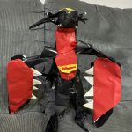 IMG_9992.jpeg